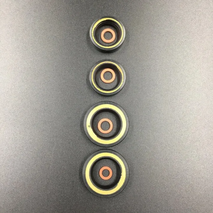 6F5-W0001-C0 — 4