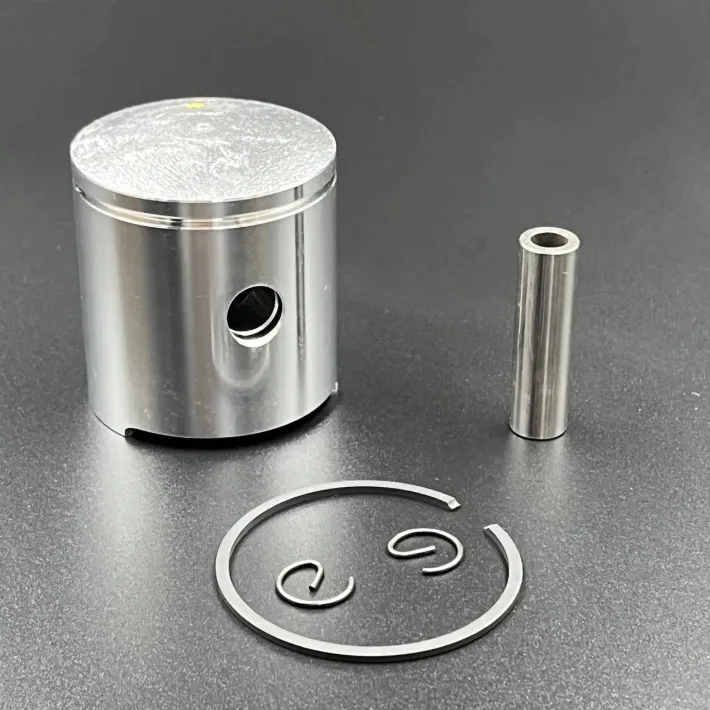 309-00001-0 — 1