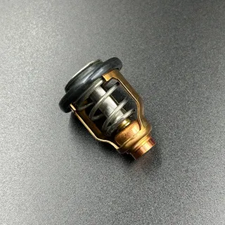 Термостат Yamaha 6CE-12411-00 картинка