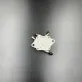403901813 — 2