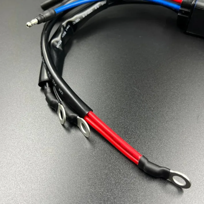 828708A1 — 3