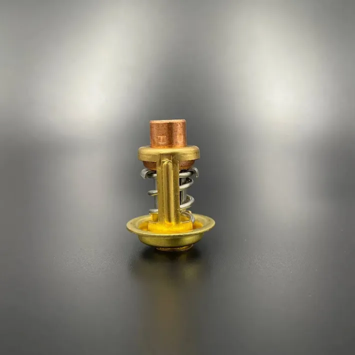 895338 — 2