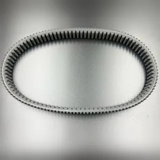 Ремень вариатора DAYCO XTX5034 (48C4289; 49G4246; 49G4266; 50X4395) (39x1118) картинка