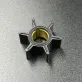47-89981 — 1