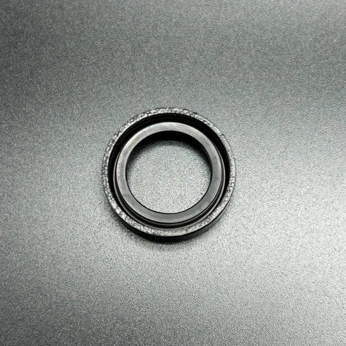 66301 — 2