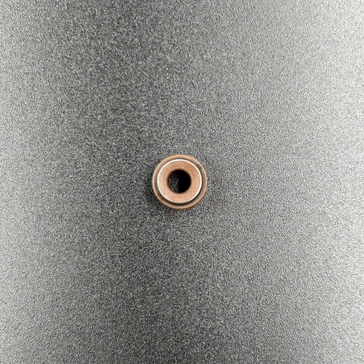 0010-022500 — 3