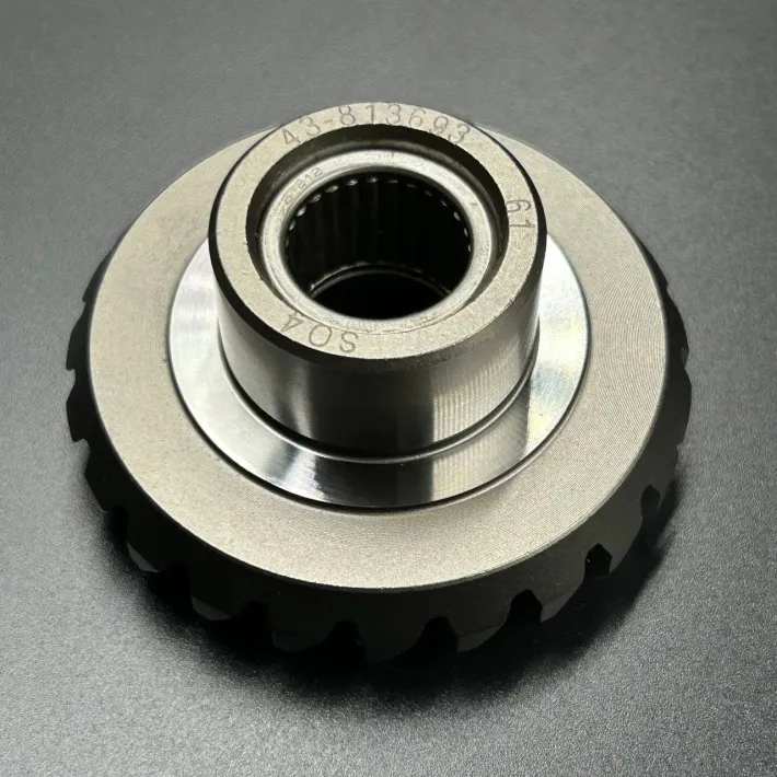 43-813693A1 — 3