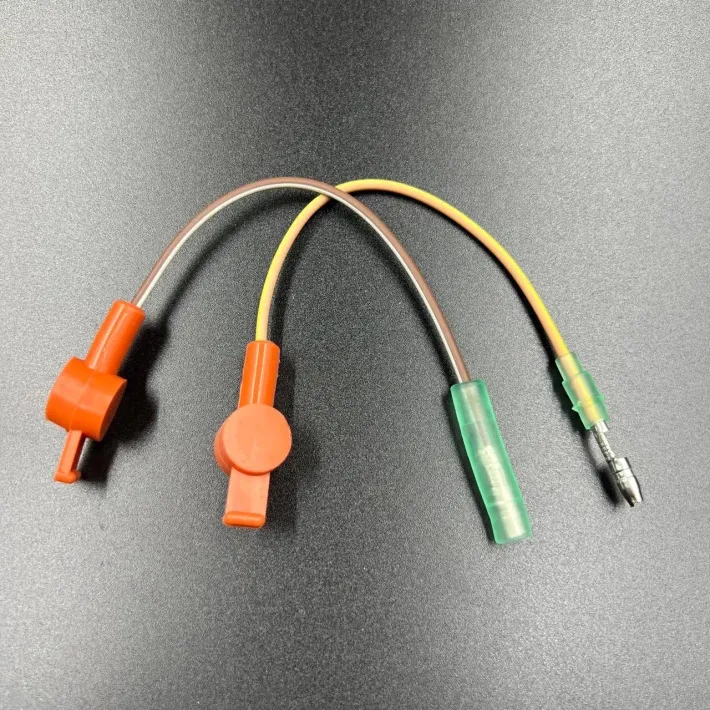 98450A10 — 2