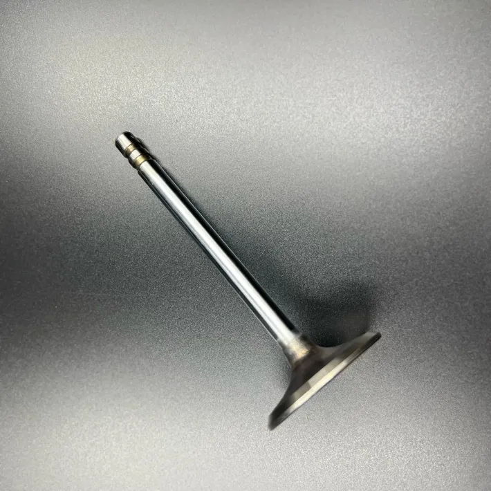 841873 — 2