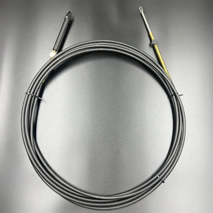 808630A21 — 1