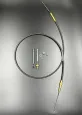 8M0176523 — 1