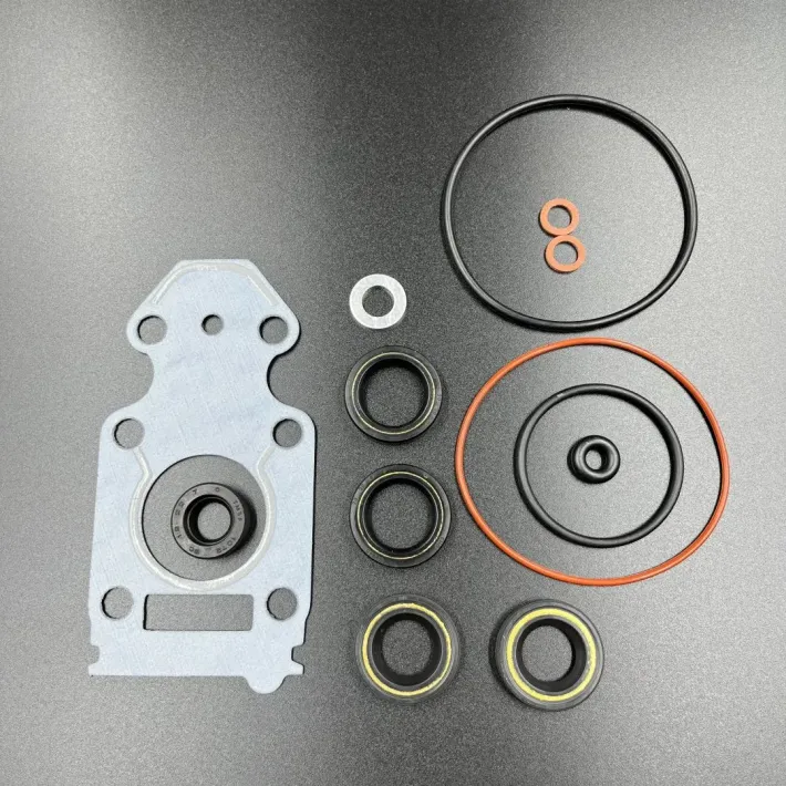 69G-W0001-20 — 1