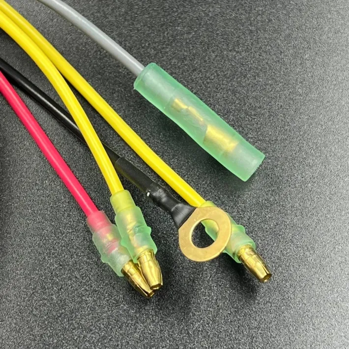 65W-81960-00 — 2
