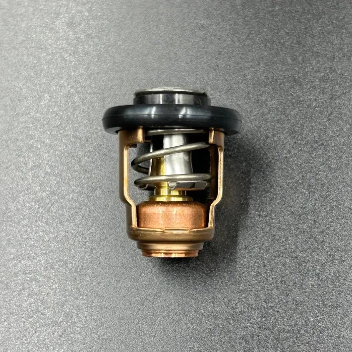 19300-ZY6-003 — 2