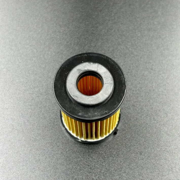 6P3-WS24A-01-00 — 2