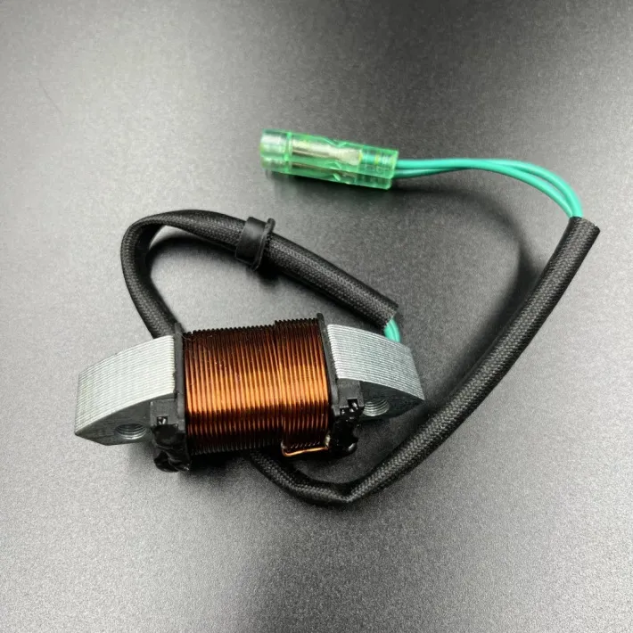 61N-81313-09 — 1