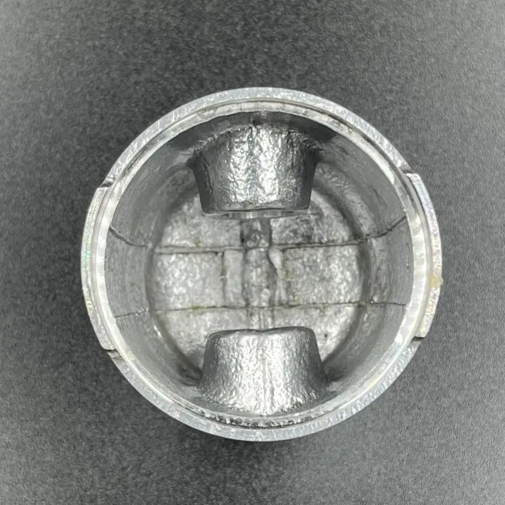309-00001-0 — 3
