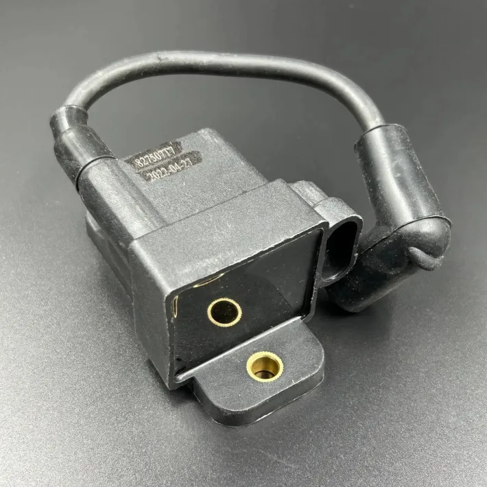 827509A4 — 1