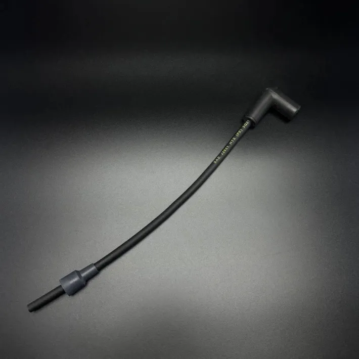 821945A61 — 1