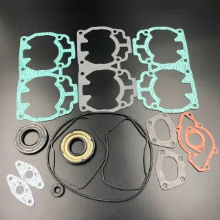 Ремкомплект ДВС BRP Ski-Doo 500 (99-04) (09-711256;420888722) (PREMARINE) картинка