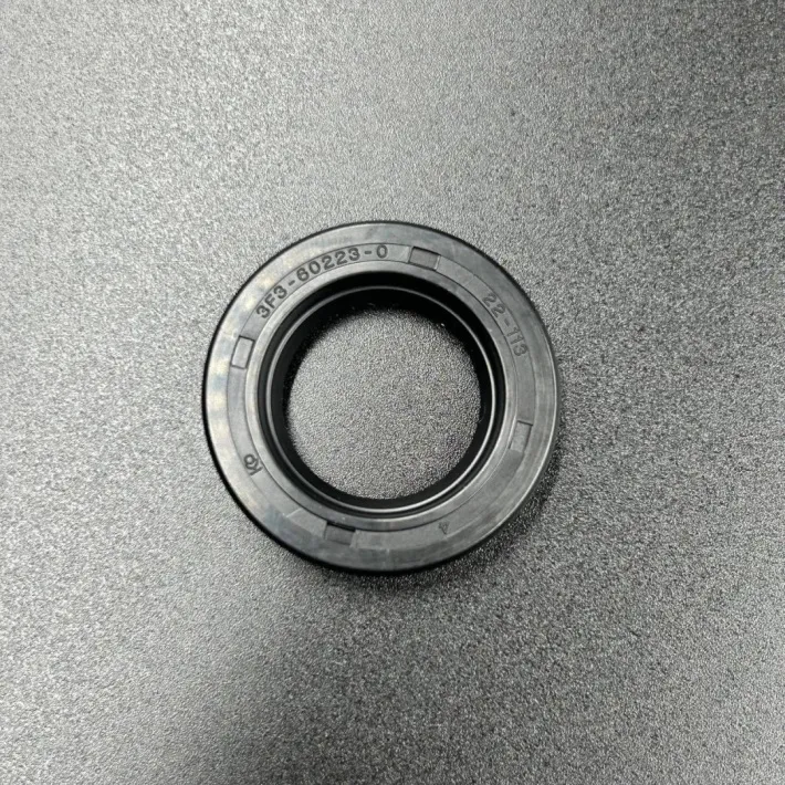 3F3-60223-0 — 1