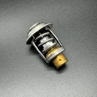Термостат THERMOSTAT (Quicksilver) картинка