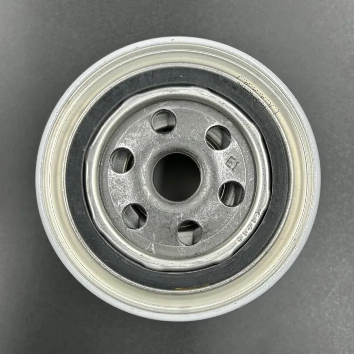 802893Q01 — 3