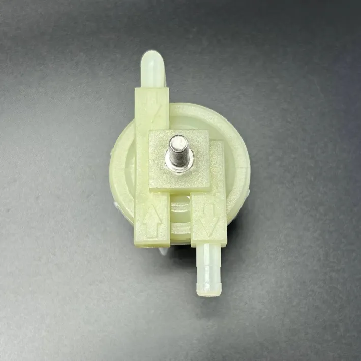 891642A11 — 2