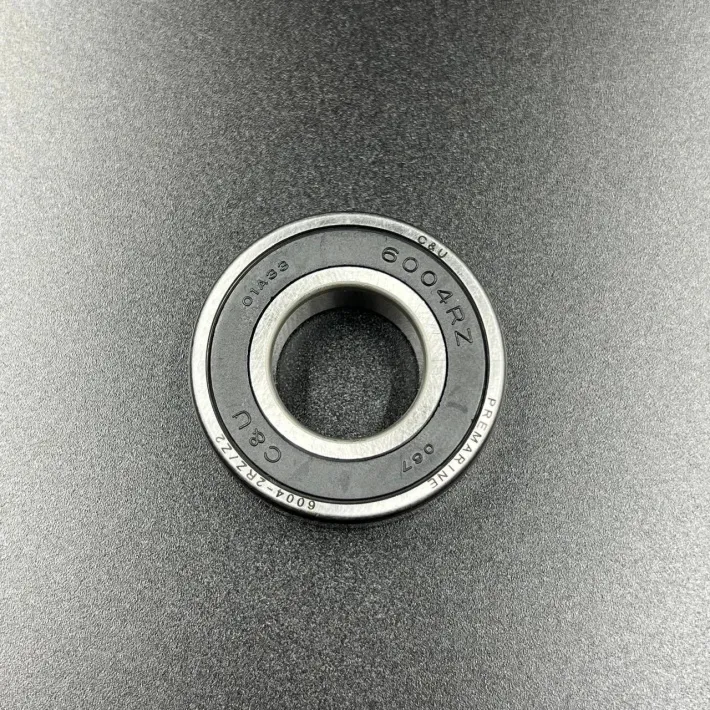 6004DDUCM — 1