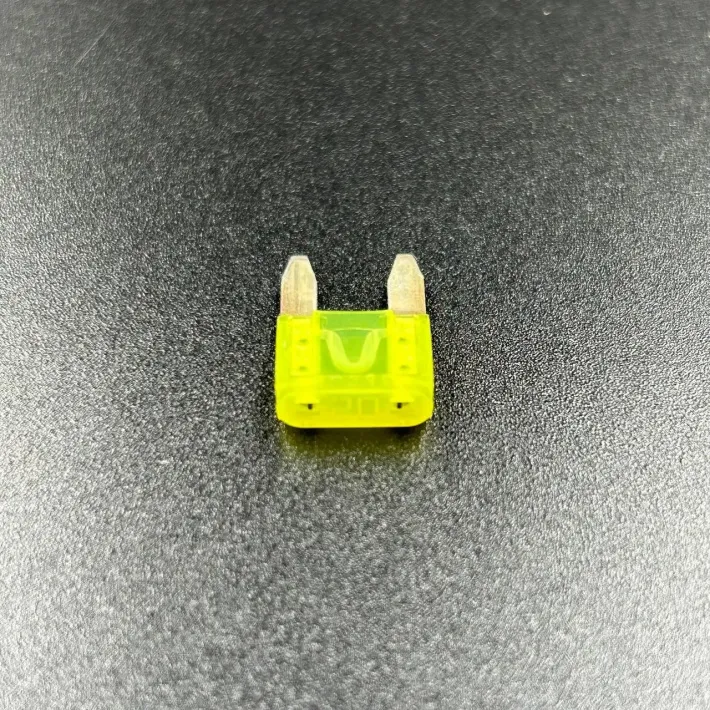 832969T20 — 2
