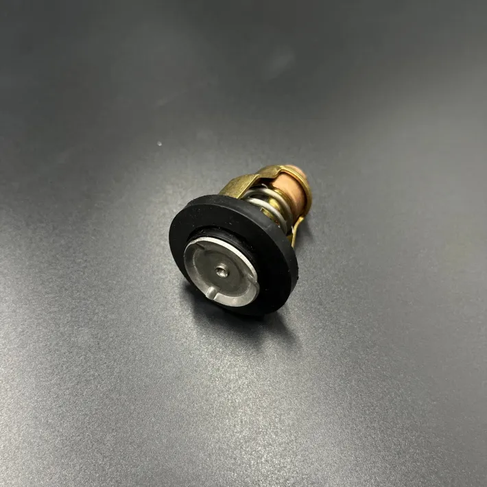 60V-12411-00 — 3