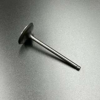 Клапан впуска Yamaha F150-300 (6CB-12111-00) (Yamaha) картинка