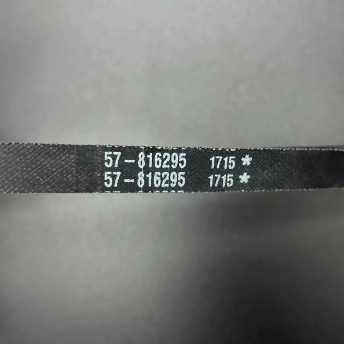 57-816295Q — 2