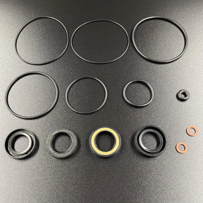 66T-W0001-20 — 3