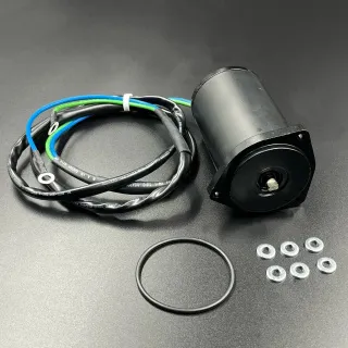 Мотор гидроподъемника Yamaha 40-50, F40-50 (Короткий шток!) (1995-1999 г.в.) (AMOSA) картинка