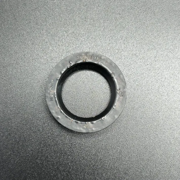 66301 — 1