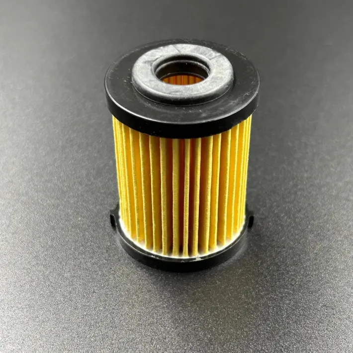 6P3-WS24A-01-00 — 1