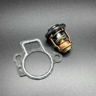 Термостат THERMOSTAT KIT (Quicksilver) картинка
