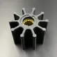 21730344 — 1