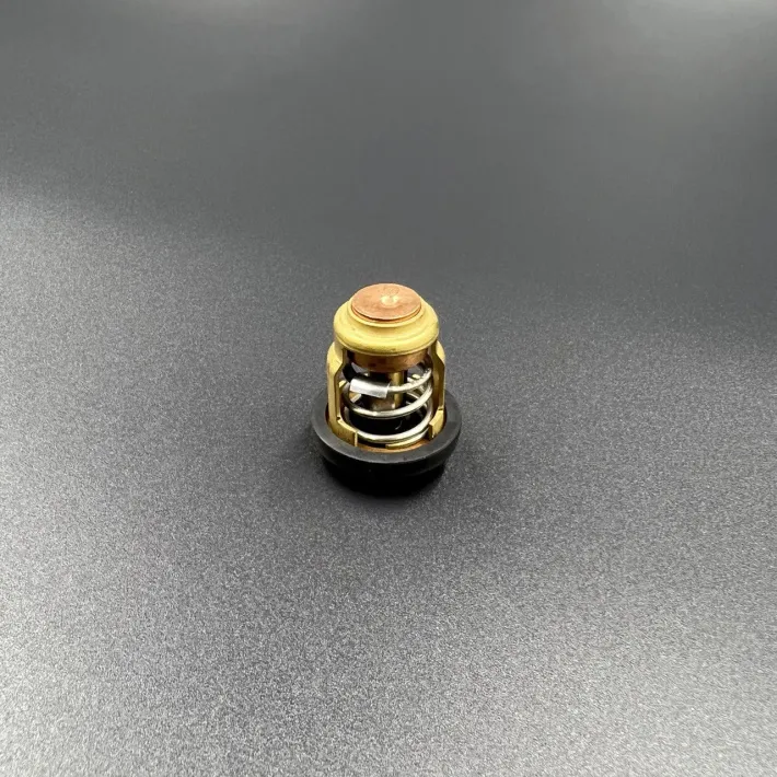 66M-12411-01 — 2