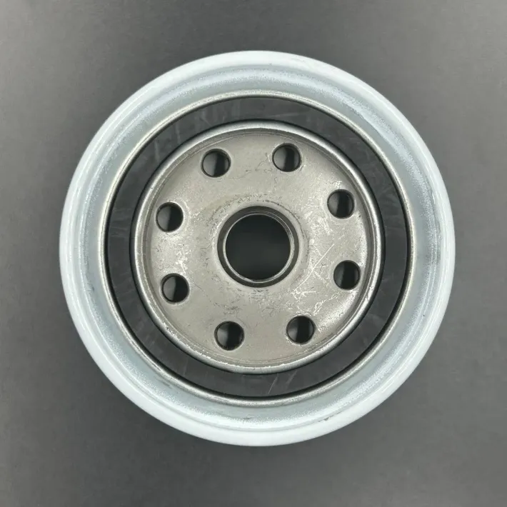 802893Q01 — 3