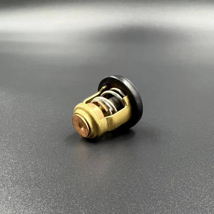 66M-12411-01 — 4