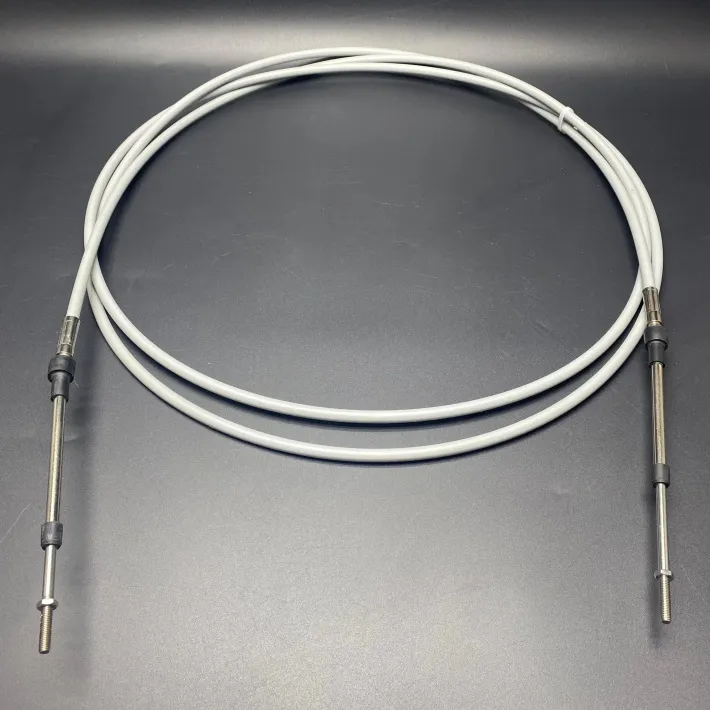 897979A22 — 3