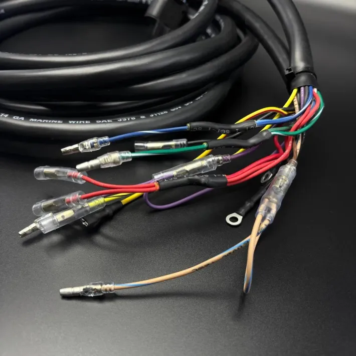 896536T02 — 2