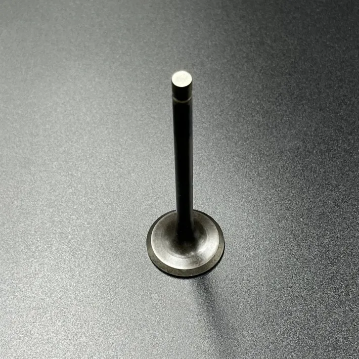 69W-12121-10 — 2