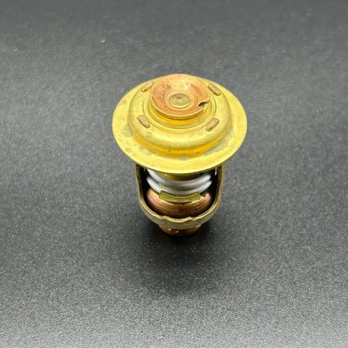 895338 — 3