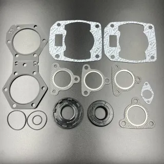 Ремкомплект двигателя Polaris 550 (09-711286) (Sinera) картинка
