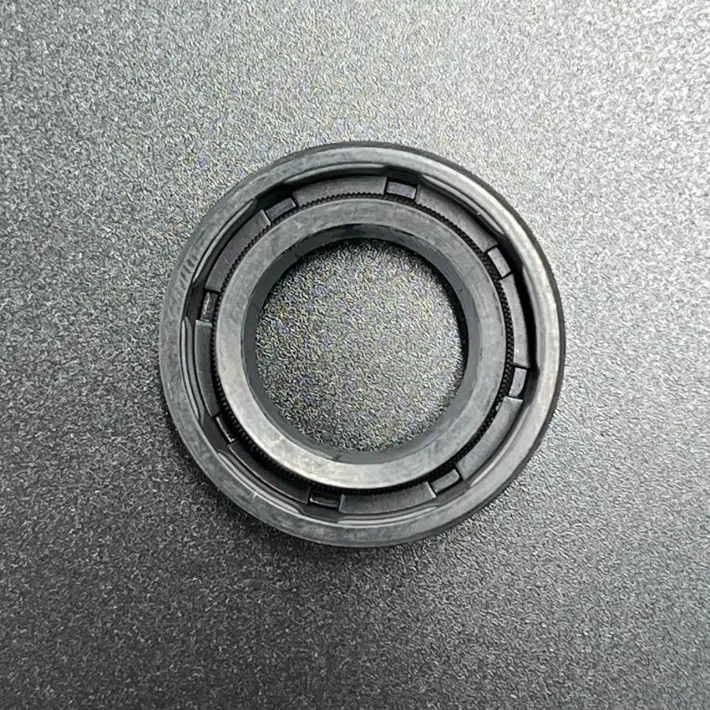 21214596 — 4
