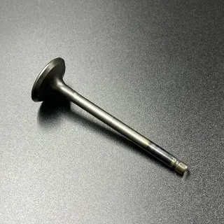 Клапан выпускной Yamaha F20-60 FT25-60 (Yamaha) картинка