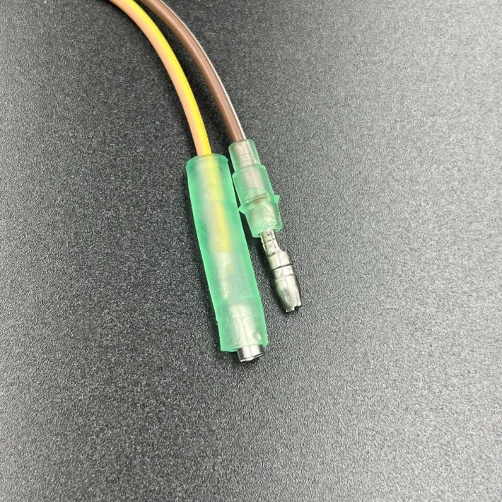 98450A10 — 3